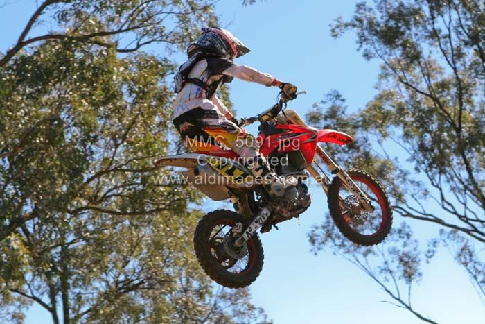 678x444 pixels (82K)